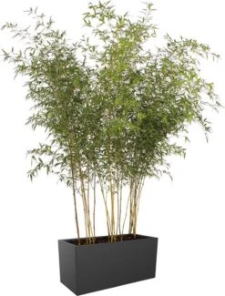 Elho Vivo Matt Finish Lang Wielen 90 - Grote Staande Plantenbak Voor Binnen & Buiten - Gemaakt Van Gereycled Plastic - L 39 X W 88 X H 41 Cm - Zwart -Tuinmeubel Verkoop 911x1200 1