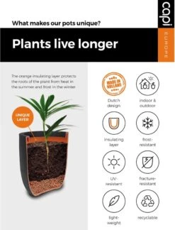 Capi Europe - Bloempot Bol Rib NL - 43x41 - Antraciet - Voor Binnen En Buiten - KOFZ933 -Tuinmeubel Verkoop 916x1200 3