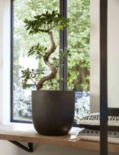 Capi Europe - Bloempot Bol Smooth NL - 35x34 - Zwart - Voor Binnen En Buiten - KBL932 -Tuinmeubel Verkoop 923x1200