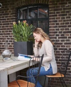 Capi Europe - Bloempot Vierkant Smooth NL - 50x50x50 - Zwart - Voor Binnen En Buiten - KBL904 -Tuinmeubel Verkoop 983x1200